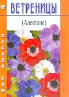 Ветреницы артикул 7382d.